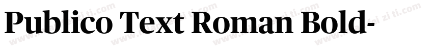 Publico Text Roman Bold字体转换